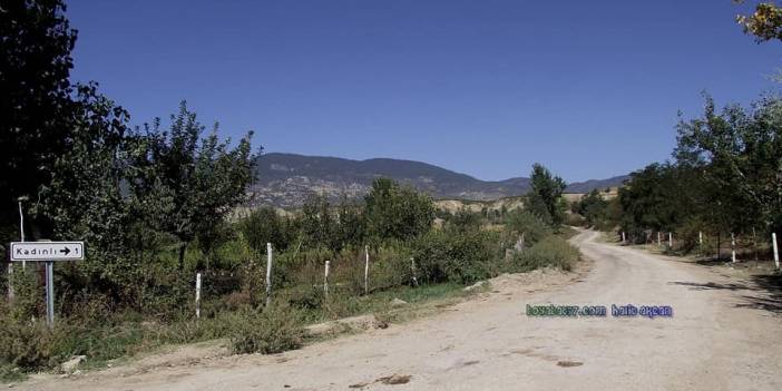 Boyabat Kadınlı Köyü Resimleri