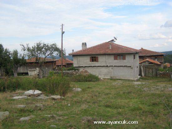 Boyabat Karamusalı Köyü Resimleri 1