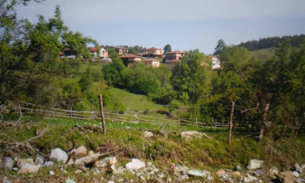 Boyabat Karamusalı Köyü Resimleri 2