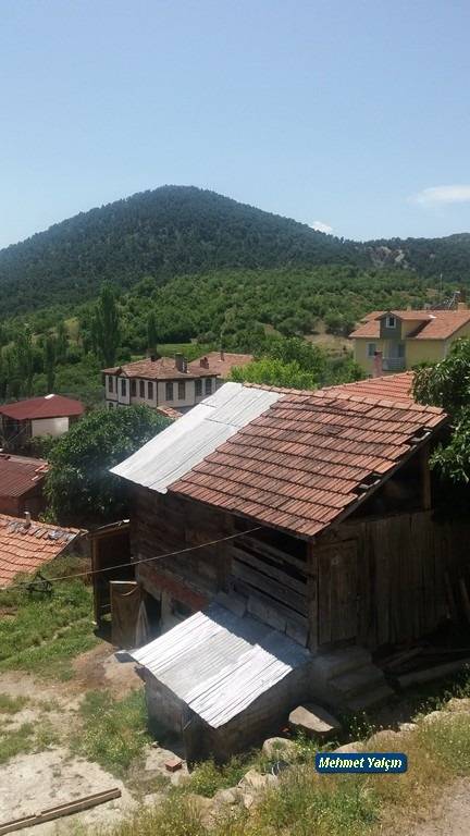 Boyabat Kartaloğlu Köyü Resimleri 4