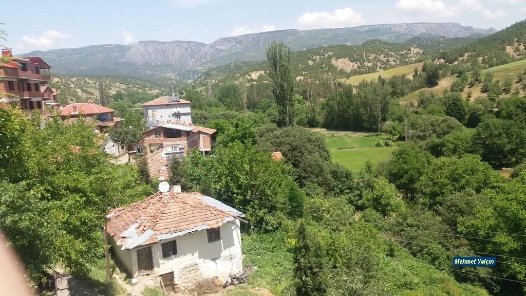 Boyabat Kartaloğlu Köyü Resimleri 6