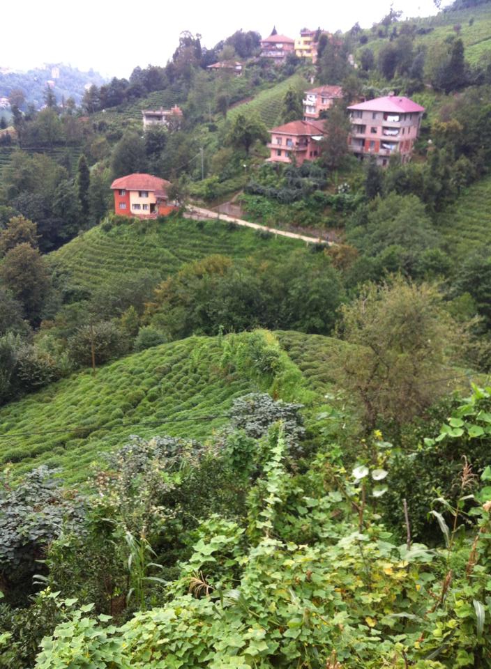 Çayeli İncesırt Köyü Resimleri 11