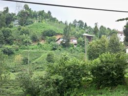 Çayeli İncesırt Köyü Resimleri 2