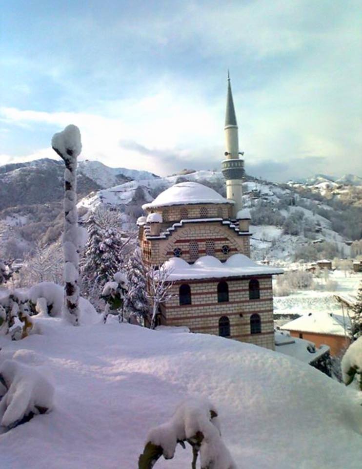 Çayeli İncesırt Köyü Resimleri 3