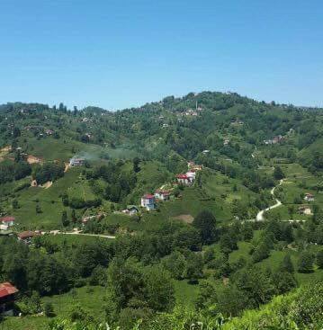 Çayeli İncesırt Köyü Resimleri 6