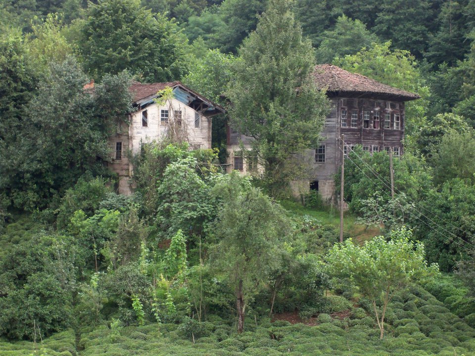 Çayeli İncesırt Köyü Resimleri 8