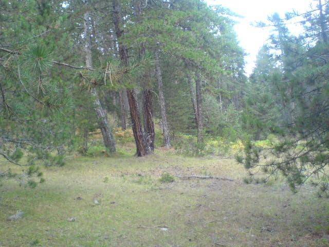 Boyabat Keseköy Köyü Resimleri 4