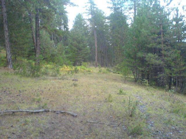 Boyabat Keseköy Köyü Resimleri 6