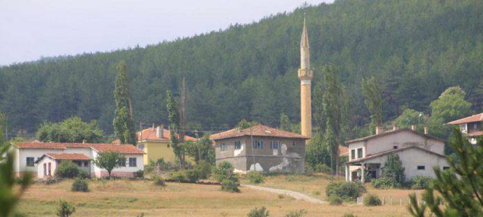 Boyabat Kozanlı Köyü Resimleri 2