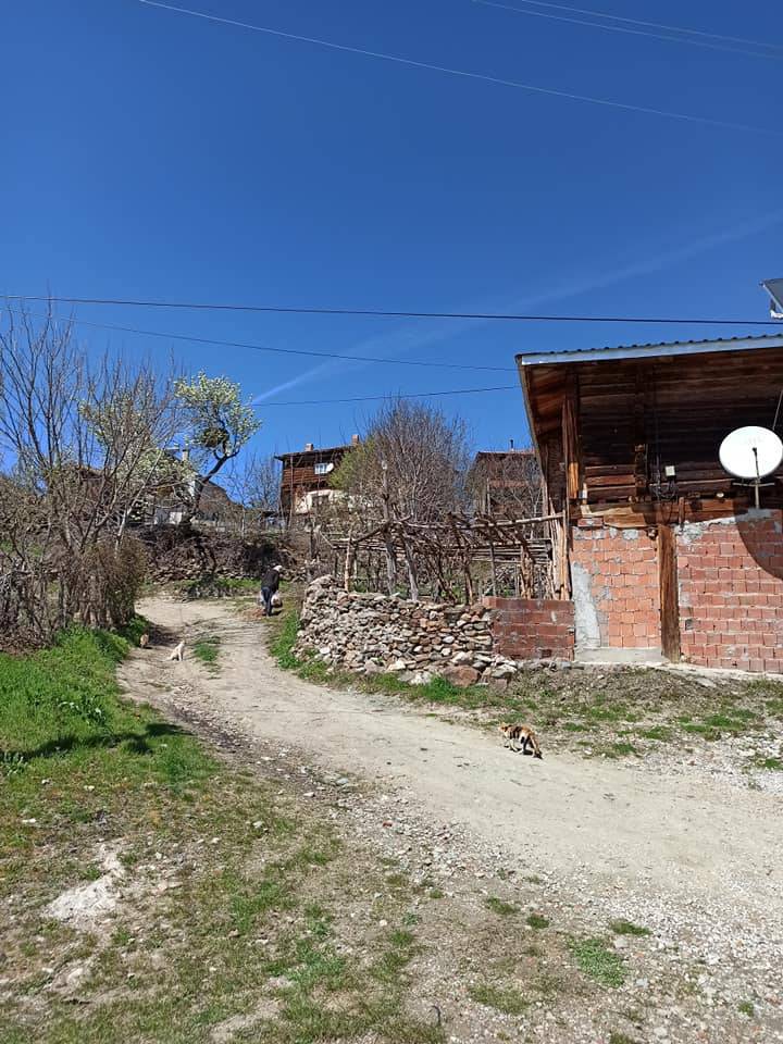 Boyabat Köprücek Köyü Resimleri 6