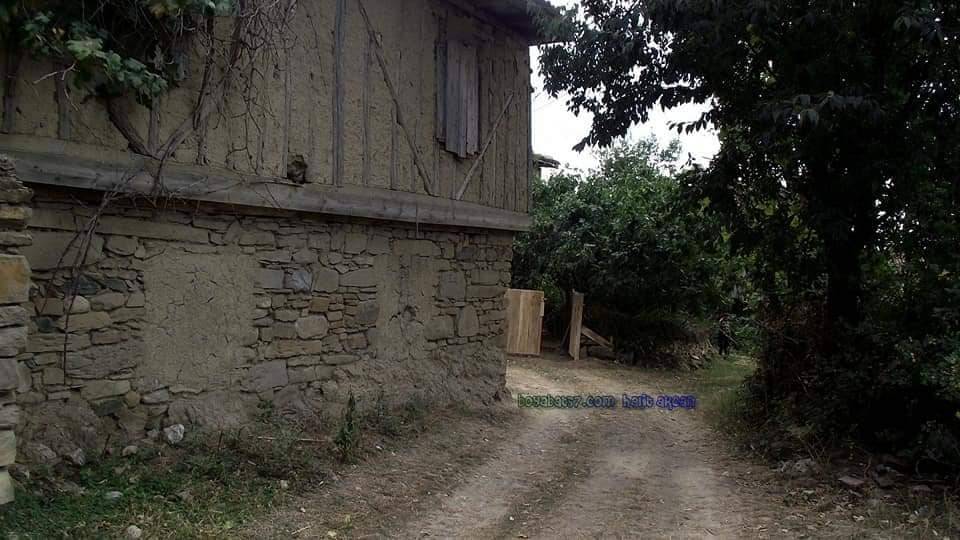 Boyabat Maruf Köyü Resimleri 5