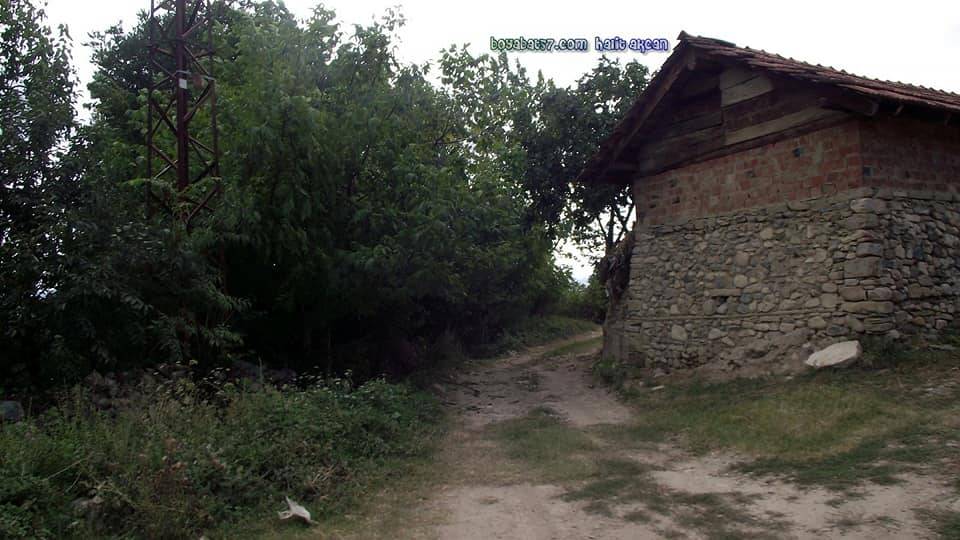 Boyabat Maruf Köyü Resimleri 9