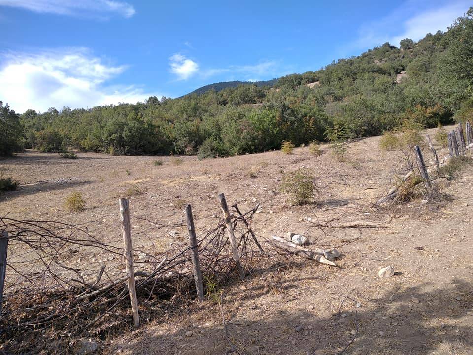 Boyabat Marufalınca Köyü Resimleri 11