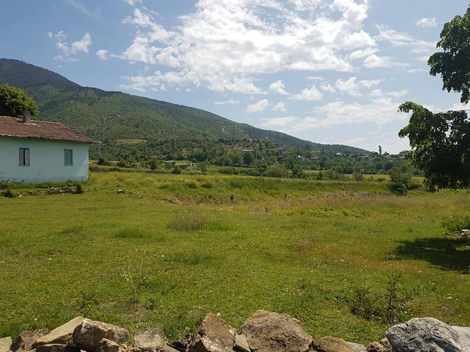 Boyabat Oğlakçılar Köyü Resimleri 2