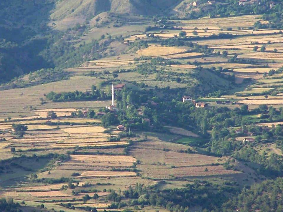 Boyabat Oğlakçılar Köyü Resimleri 8