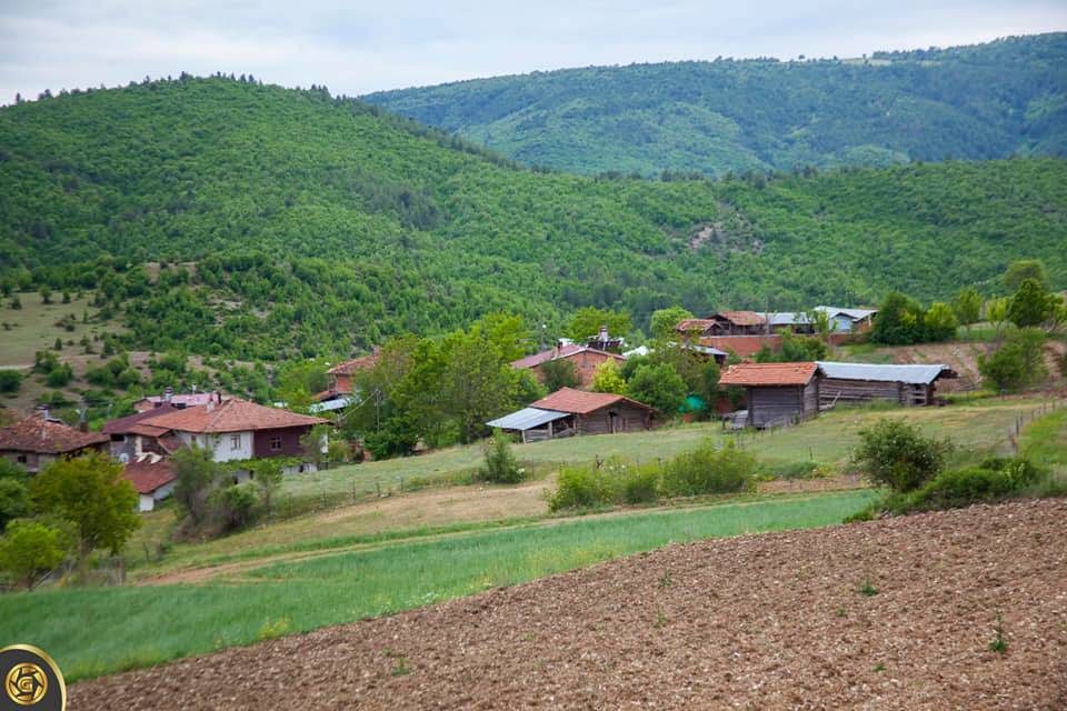 Boyabat Okçumehmetli Köyü Resimleri 4