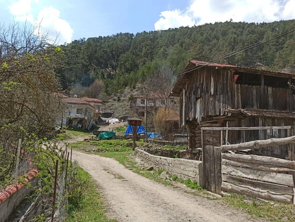 Boyabat Pirefendideresi Köyü Resimleri 11