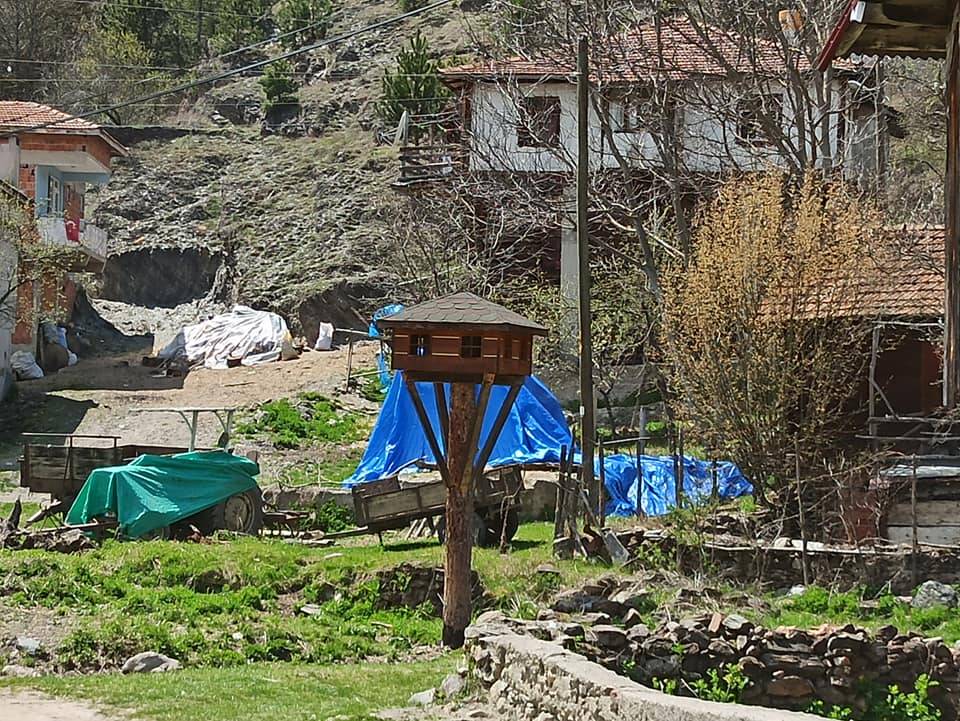 Boyabat Pirefendideresi Köyü Resimleri 12