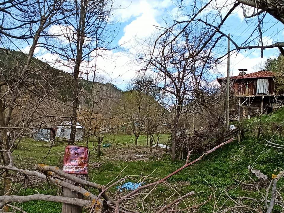 Boyabat Pirefendideresi Köyü Resimleri 8