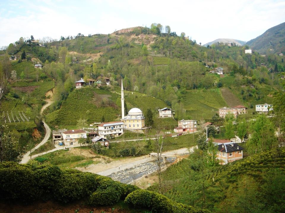Çayeli Sırt Köyü Resimleri 10