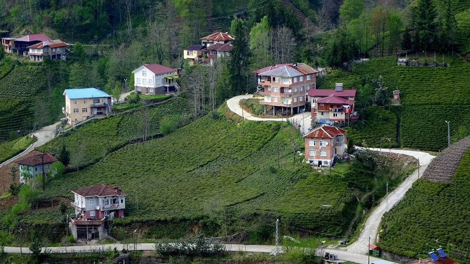 Çayeli Sırt Köyü Resimleri 11