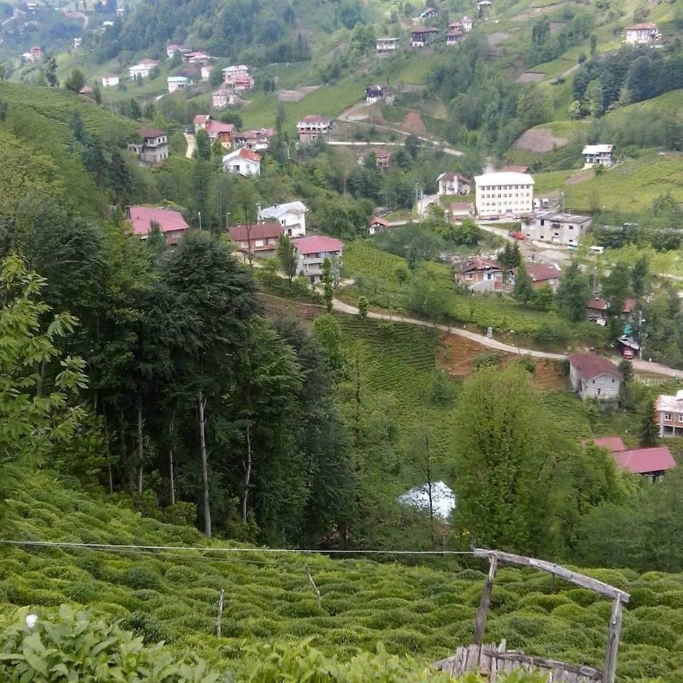 Çayeli Sırt Köyü Resimleri 5