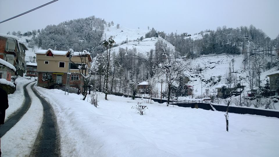 Çayeli Sırt Köyü Resimleri 9