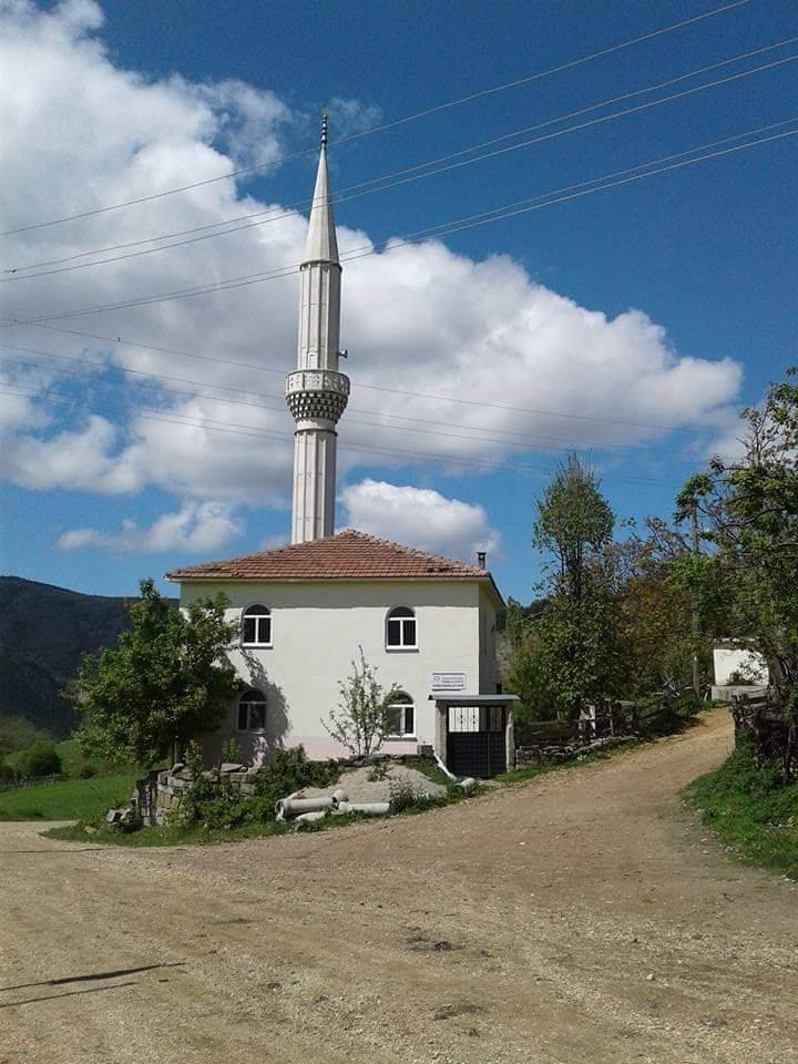 Boyabat Tırnalı Köyü Resimleri 10