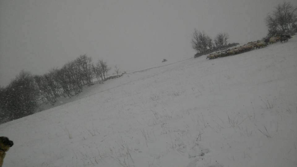 Boyabat Tırnalı Köyü Resimleri 6