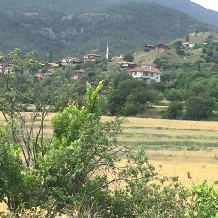 Boyabat Yabanlı Köyü Resimleri 1