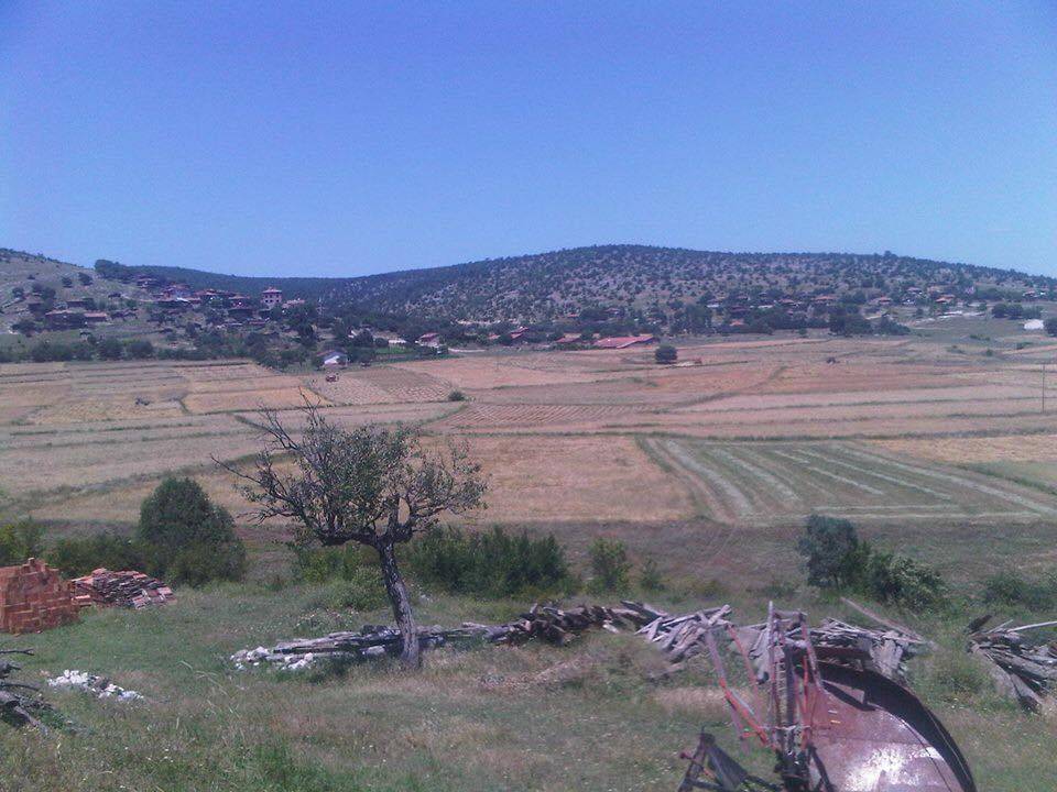 Boyabat Yenicamili Köyü Resimleri 4