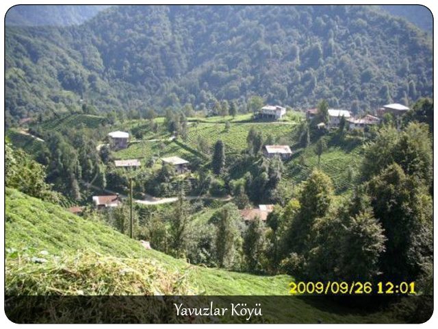 Çayeli Yavuzlar Köyü Resimleri 1
