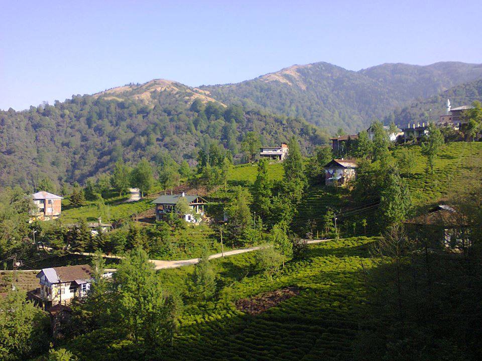 Çayeli Yavuzlar Köyü Resimleri 3