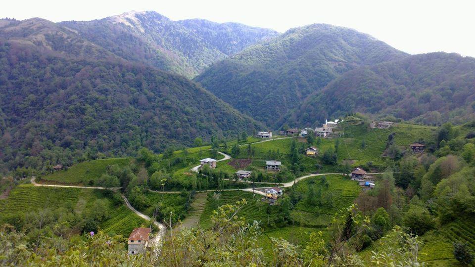 Çayeli Yavuzlar Köyü Resimleri 4