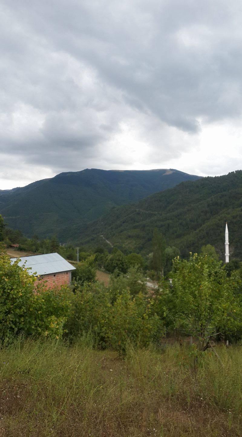 Dikmen Akçakese Köyü Resimleri 11