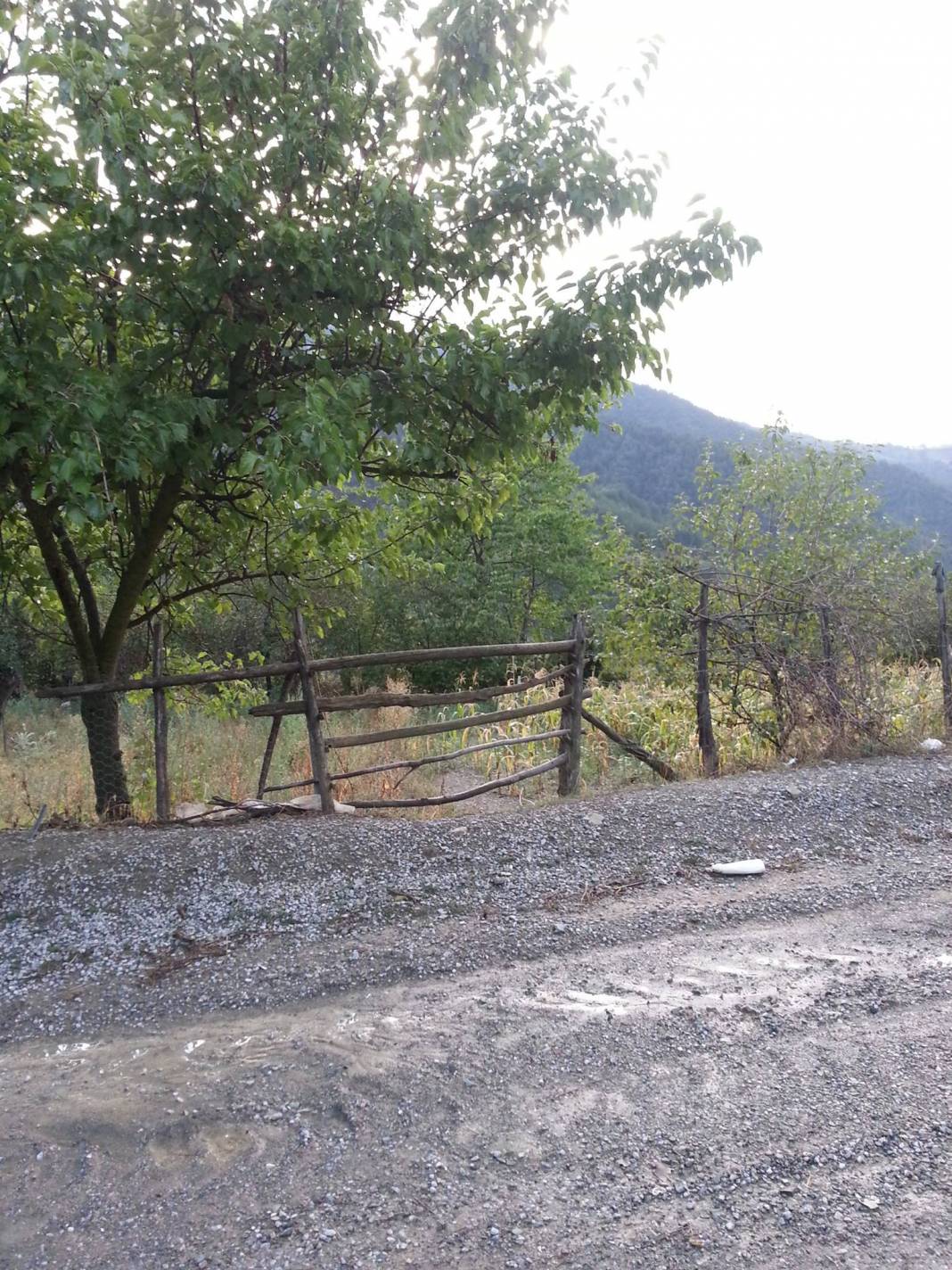 Dikmen Akçakese Köyü Resimleri 3