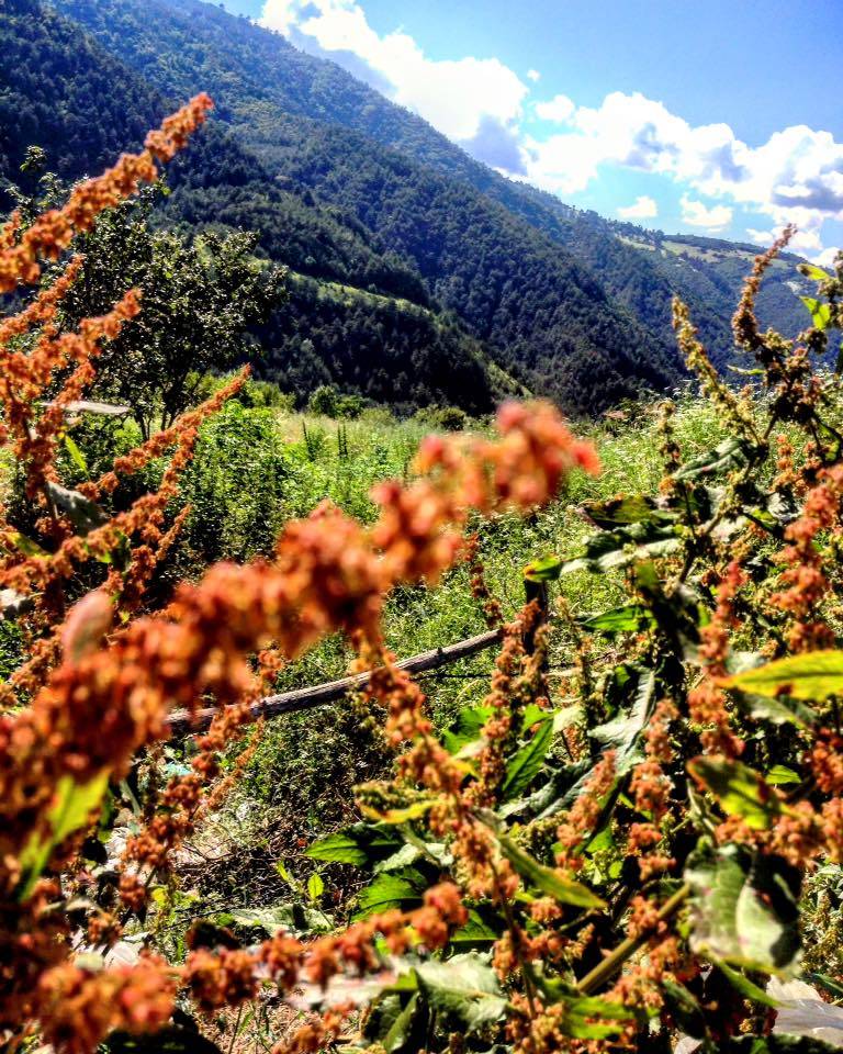 Dikmen Akçakese Köyü Resimleri 8