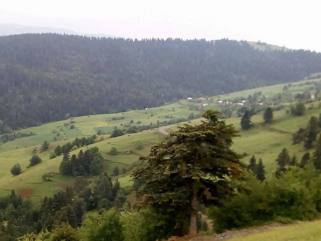 Dikmen Büyükdağ Köyü Resimleri 2