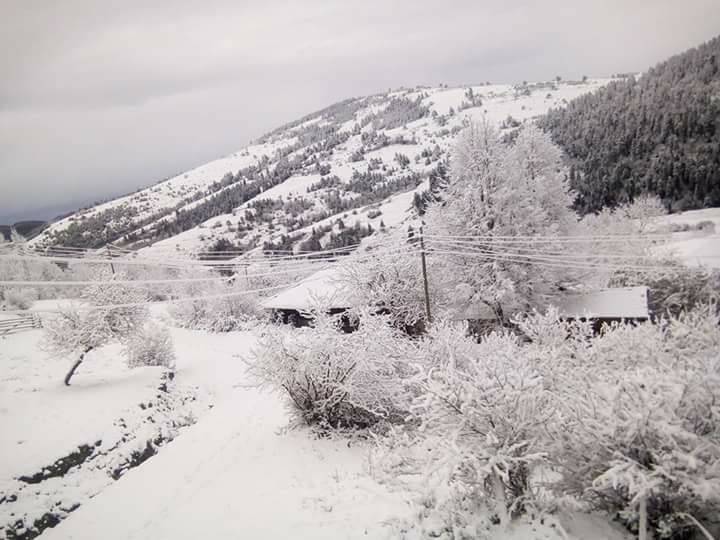 Dikmen Büyükdağ Köyü Resimleri 4