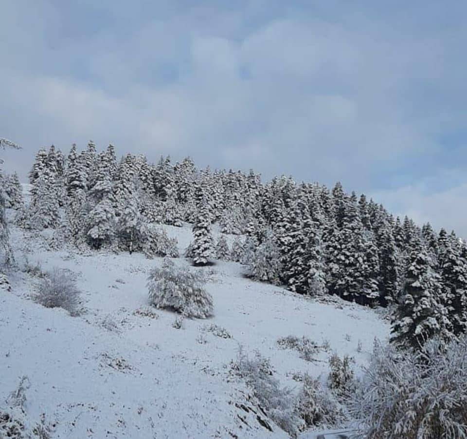 Dikmen Büyükdağ Köyü Resimleri 7