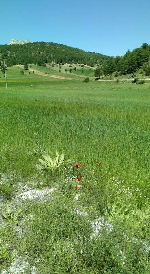 Burdur Bereket Köyü Resimleri 10