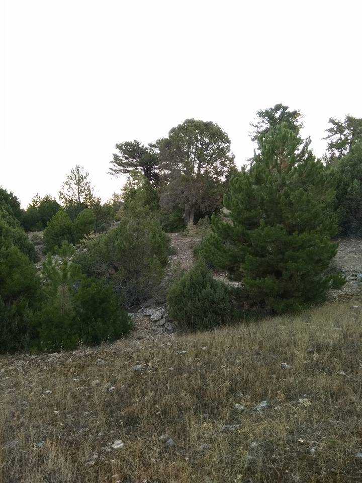 Burdur Cimbilli Köyü Resimleri 1