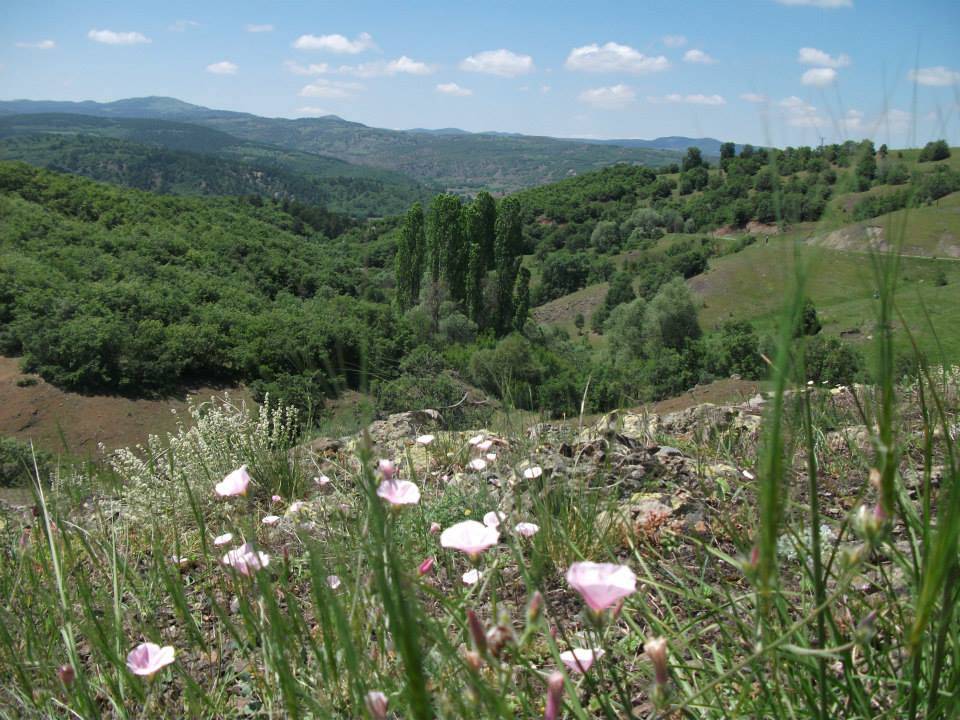Çorum Evciortakışla Köyü Resimleri 2