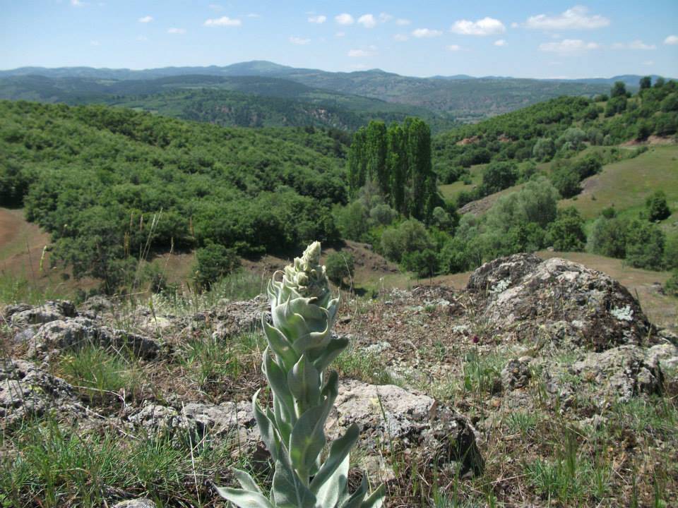 Çorum Evciortakışla Köyü Resimleri 4