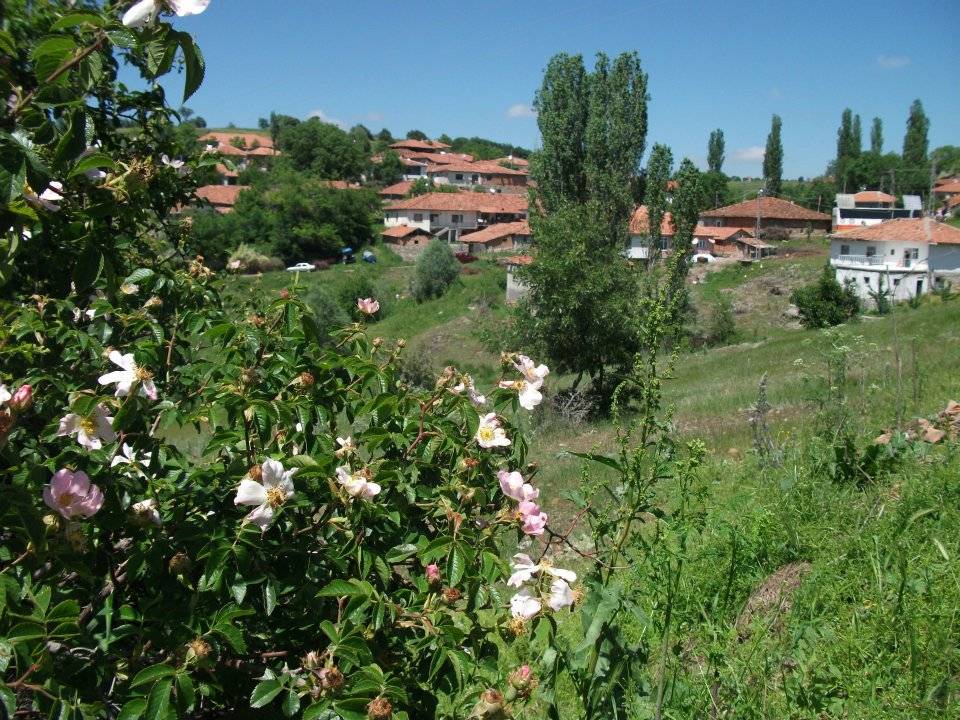 Çorum Evciortakışla Köyü Resimleri 9