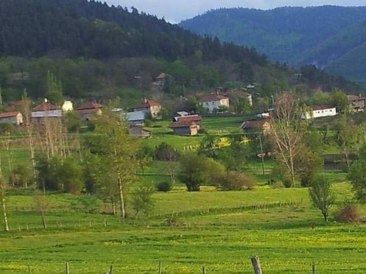 Dikmen Büyükkızık Köyü Resimleri 4