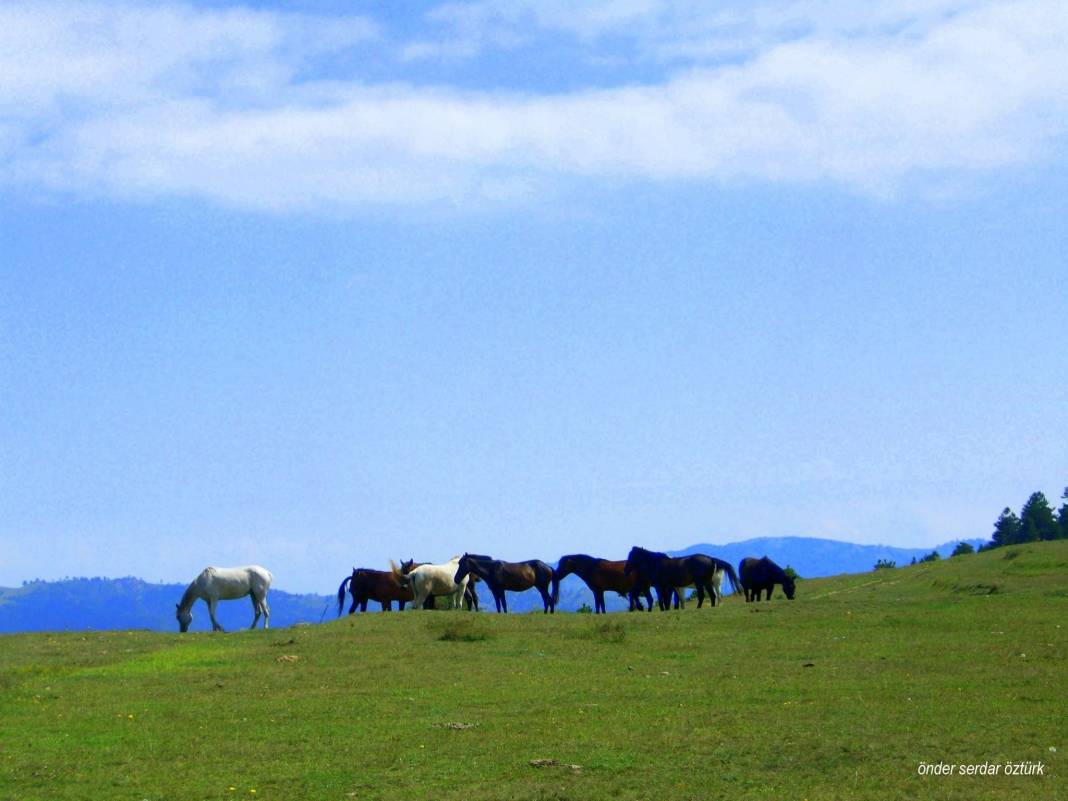 Dikmen Büyükkızık Köyü Resimleri 5