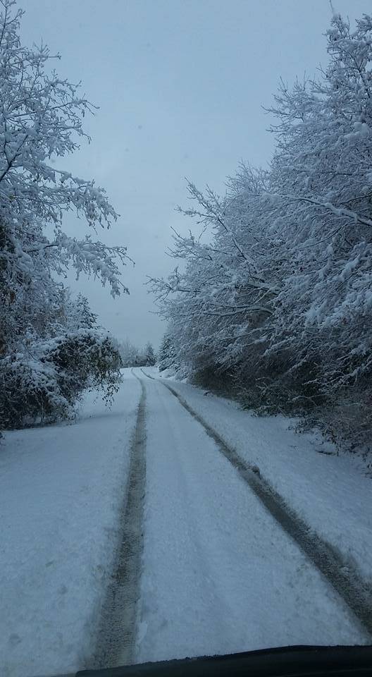 Dikmen Çanakçı Köyü Resimleri 1