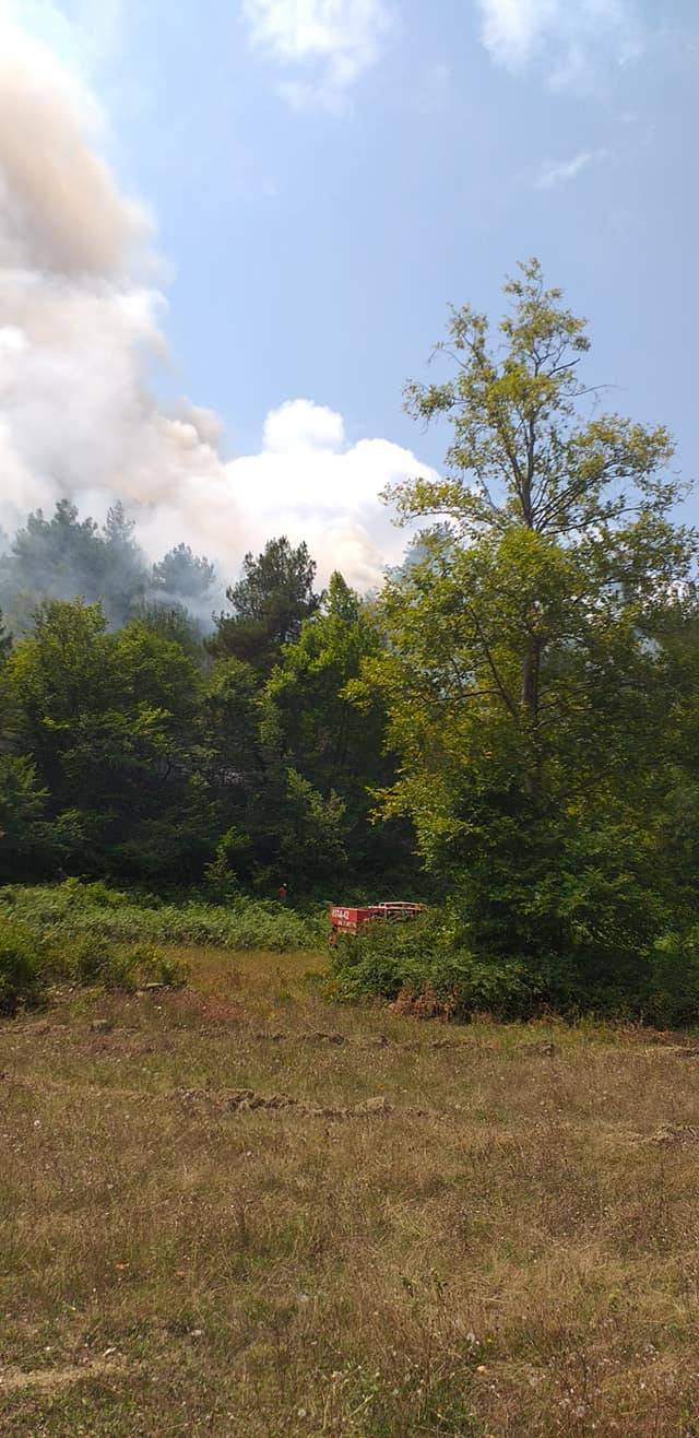 Dikmen Çanakçı Köyü Resimleri 2