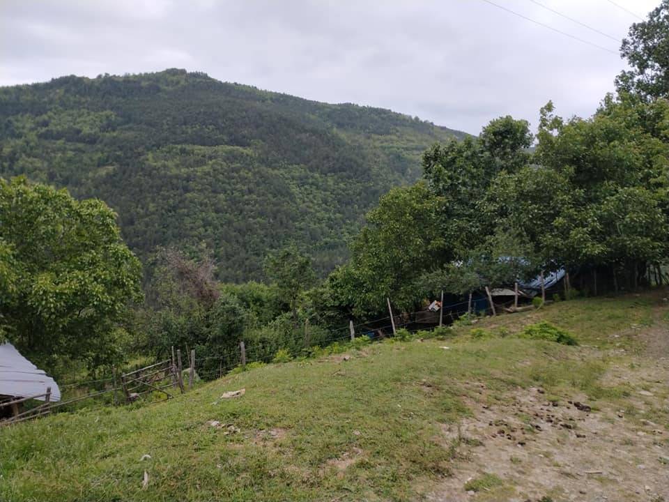 Dikmen Çanakçı Köyü Resimleri 5